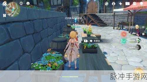 原神芙罗拉留影任务全攻略，流程技巧大揭秘