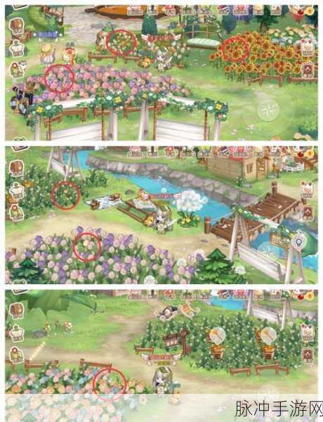 奥比岛梦想国度,七色花位置全揭秘