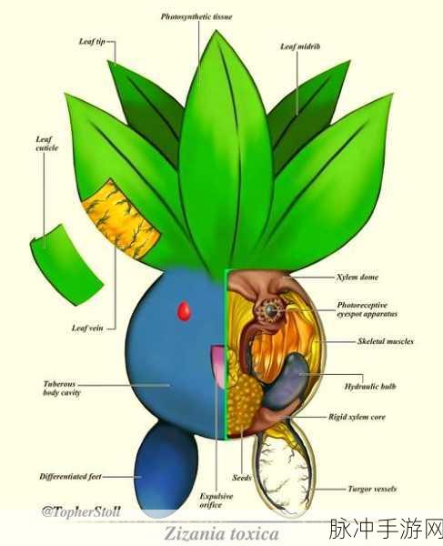 口袋妖怪锁定状态,理解与应对的全面解析