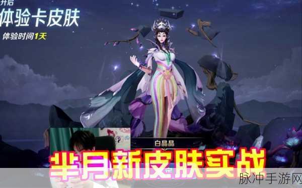 超数据世界白璃，深度剖析与实战攻略