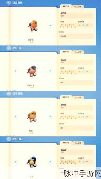 心动小镇捕捉太阳闪蝶秘籍大公开