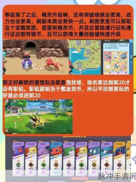 喵喵爱冒险,萌系卡牌竞技养成冒险游戏新服下载安装全攻略