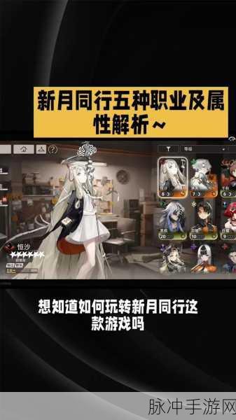 新月同行角色养成深度解析,全新玩法与门阶系统新鲜揭秘