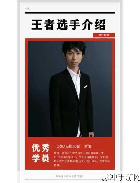 王者荣耀,梦泪的传奇电竞征途与荣耀之巅