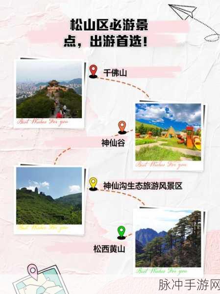 妄想山海松树探寻攻略,解锁松树最多的采集地点