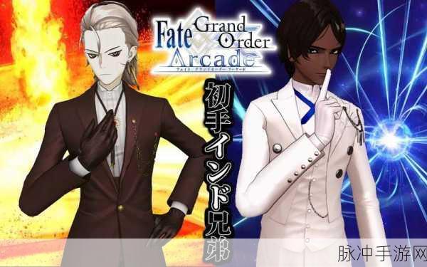 2025年热门手游分析，命运冠位指定FGO迦尔纳适配队友与礼装深度测评