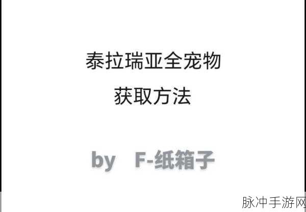 泰拉瑞亚宠物南瓜娃娃获取全攻略
