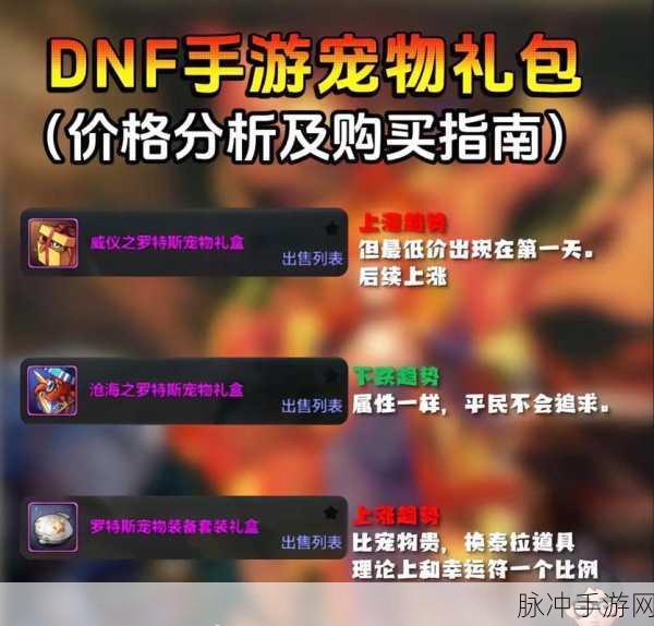 DNF手游攻略,探究神圣宠物胶囊能否封装13年春节礼包宠物