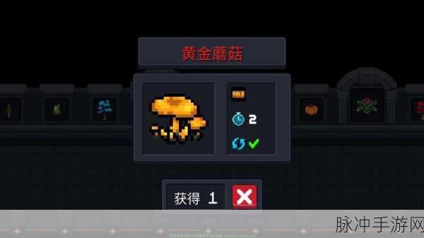 黄金蘑菇在元气骑士中的奇妙作用与攻略详解