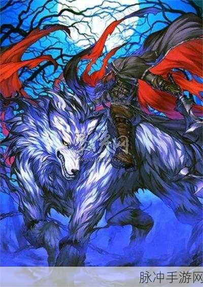 FGO深度攻略，揭秘黑森罗伯，暗夜中的神秘刺客