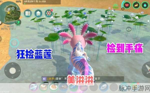 创造与魔法蓝莲,多功能资源详解与攻略