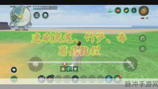 创造与魔法蓝莲,多功能资源详解与攻略