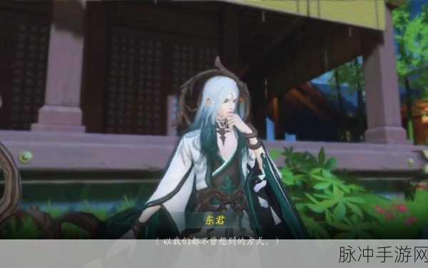 神都夜行录 PC 版与模拟器的较量,流畅优化谁更强?