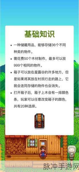 星露谷物语，探寻箱子的安全放置秘诀
