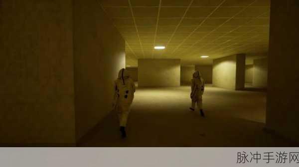 后室Backrooms联机版，惊险刺激的密室逃脱之旅