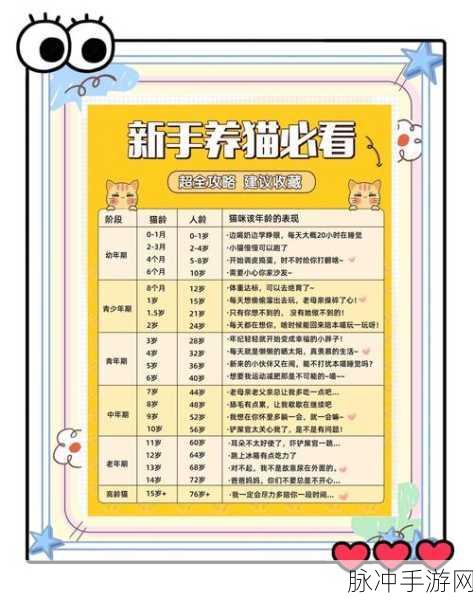 喵千万与奇妙屋,猫咪养成经营游戏全攻略