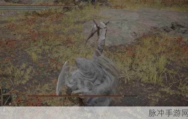 艾尔登法环深度攻略,使命短刀实战评测与解析