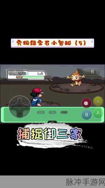 究极绿宝石存档秘籍,畅玩游戏不再愁