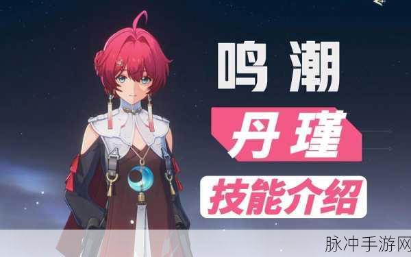 鸣潮丹瑾技能全解析，深度挖掘独特奥秘
