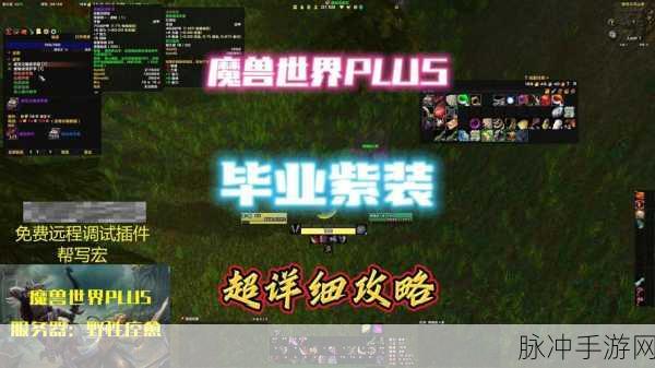 魔兽世界怀旧服Plus,手游公司深度攻略与数据解析