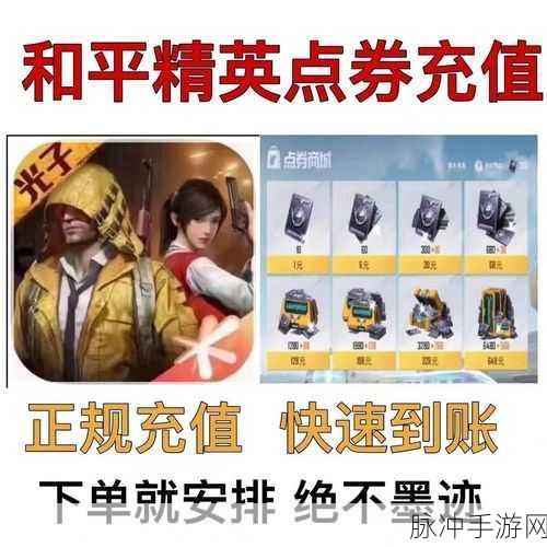 和平精英点券购买秘籍,个位数点券获取全攻略