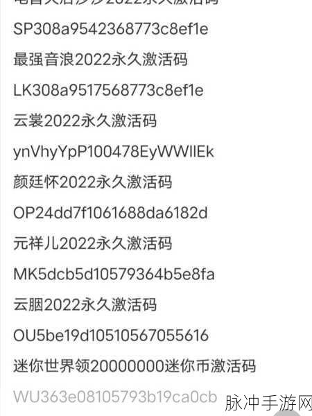 迷你世界激活码输入指南，畅玩游戏的关键步骤