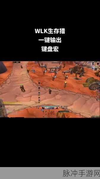 魔兽世界手游版，生存猎人高效输出宏全解析