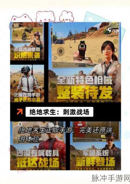 绝地求生刺激战场改名秘籍全解析，助你玩转游戏