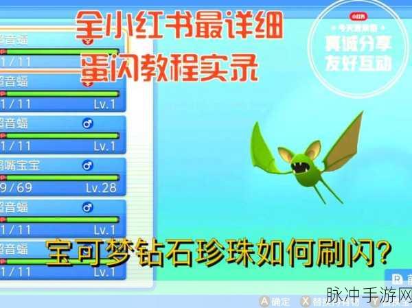 宝可梦钻石珍珠全国图鉴升级全攻略，解锁全宝可梦数据的终极指南