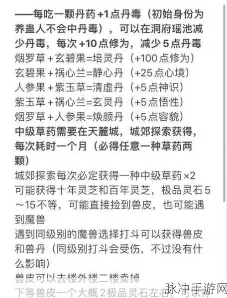 西游神魔决符印深度解析,三昧火灵使用技巧全攻略