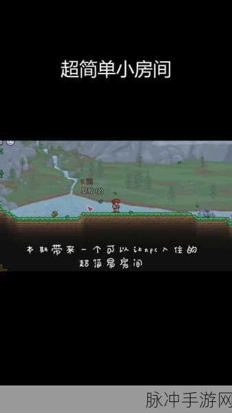 泰拉瑞亚手游攻略，打造专属牢房的全面指南