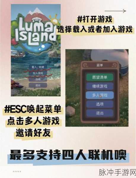 露玛岛联机物品交换全攻略指南