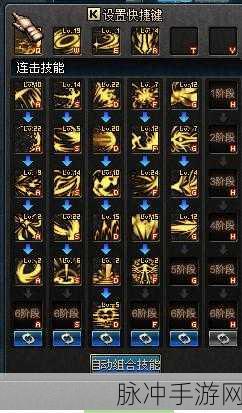 DNF 黑暗武士,85 版本幽魂加点与技能组合深度解析