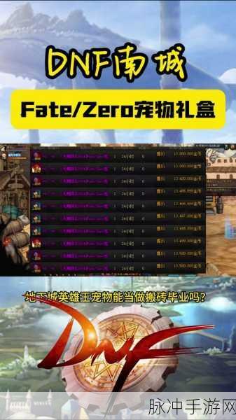 DNF2024 至尊宠物颜值巅峰对决
