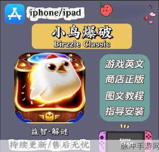 怒鸟悦动安卓下载，解锁休闲闯关新乐趣的绝佳选择