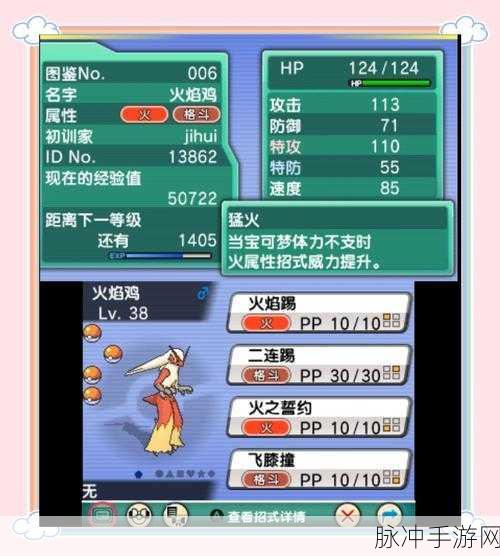 口袋妖怪红宝石,揭秘皮卡丘身边的神秘物品