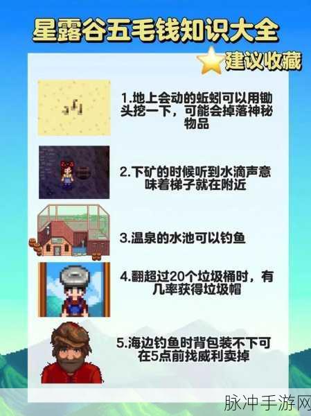 星露谷物语深度攻略，揭秘Rainbow Shell的奇妙世界与获取之道