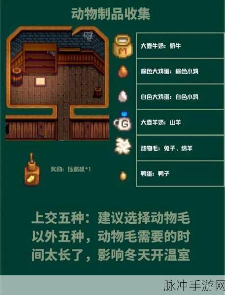 星露谷物语深度攻略,如何进入海莉的暗室