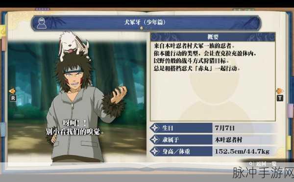 火影忍者手游犬冢牙实战攻略，解锁你的忍界新星之路