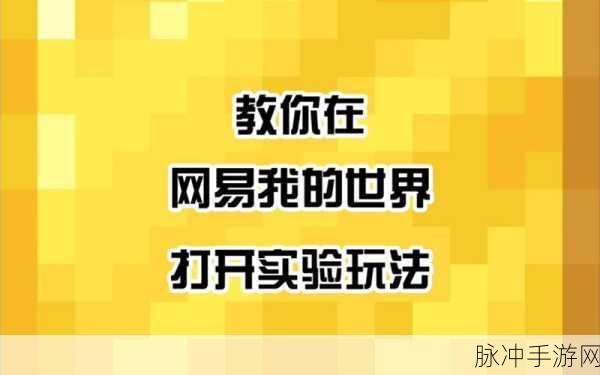 我的世界手游深度攻略,如何开启实验玩法