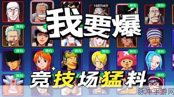 航海王壮志雄心,热血与梦想交织的3D动作格斗手游全攻略