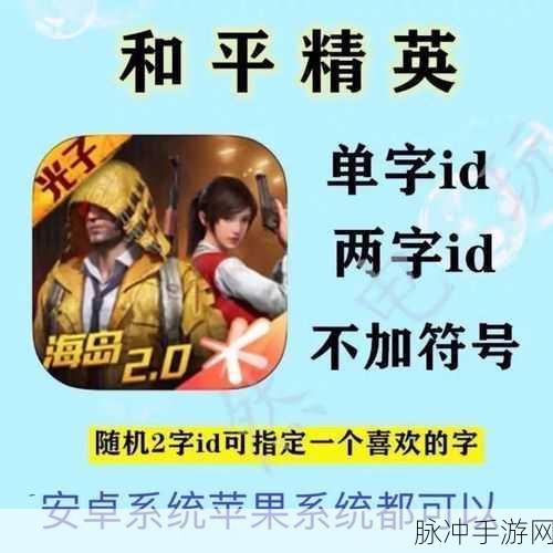 绝地求生手游改名秘籍,轻松定制专属游戏昵称