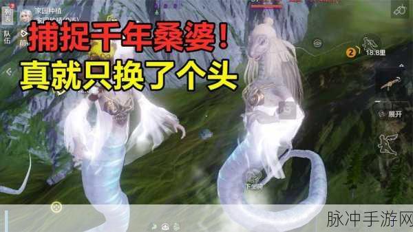 妄想山海探索桑婆神秘所在地的深度指南