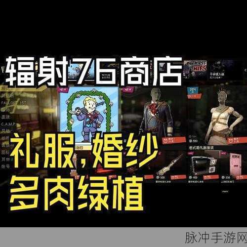 辐射76原子币深度解析,获取途径与消费指南