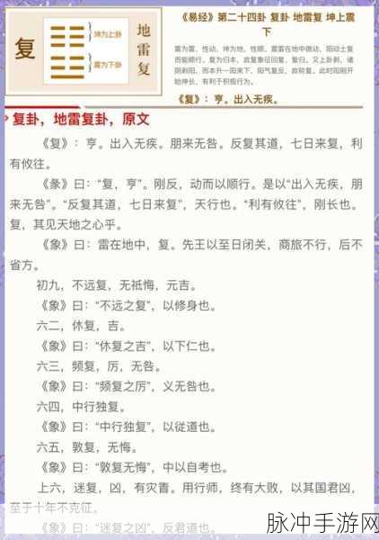 复苏的魔女全名词解析及功能一览，深度功能详解与实战实用指南