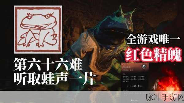 黑神话悟空六只青蛙全收集秘籍大公开