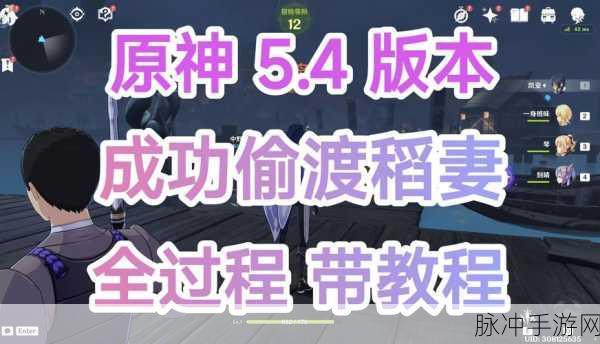 原神攻略秘籍,揭秘恒动械画稻妻之二高效通关策略