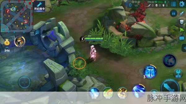 王者荣耀深度攻略,探索游戏中那些奇特的闪现点