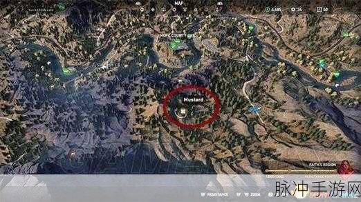 孤岛惊魂5存档位置全攻略,轻松管理你的游戏进度