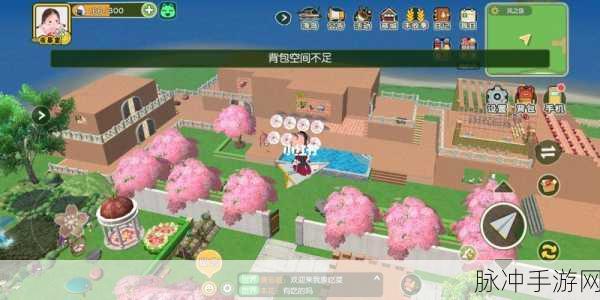 小森生活手游攻略,风之岛装修全解析